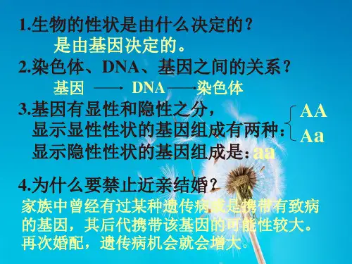 人的性别遗传PPT教学课件