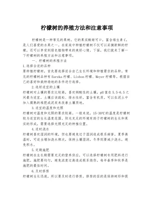 柠檬树的养殖方法和注意事项
