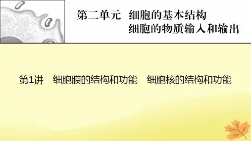 2023版高考生物一轮总复习第2单元细胞的基本结构细胞的物质输入和输出第1讲细胞膜的结构和功能细胞核
