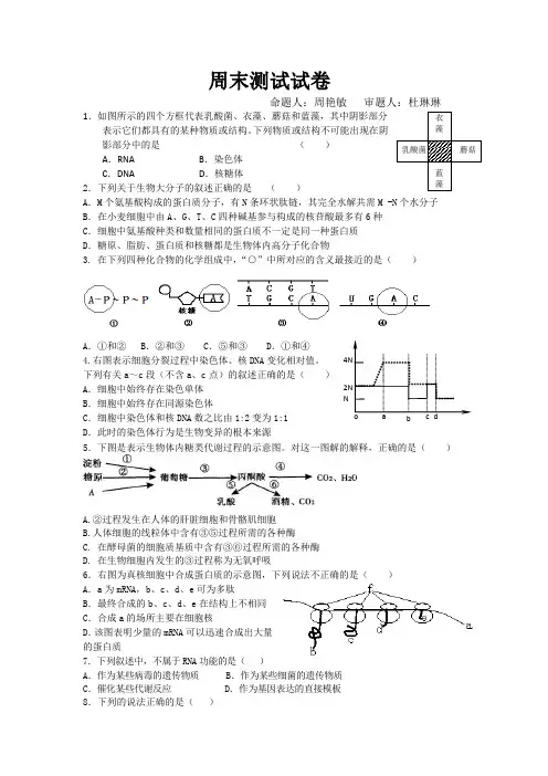 周末测试