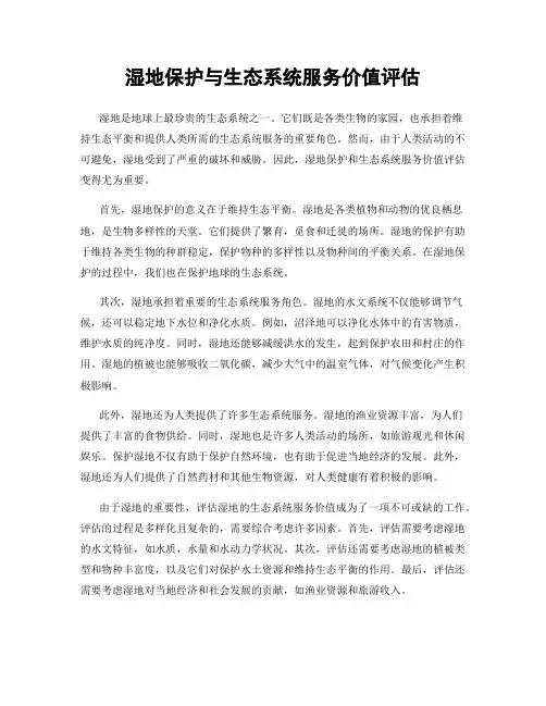 湿地保护与生态系统服务价值评估