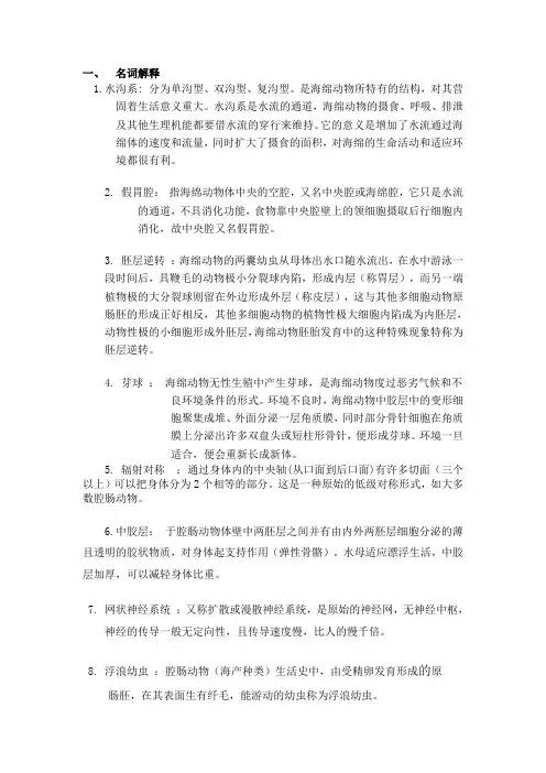 海绵、腔肠和扁形动物1