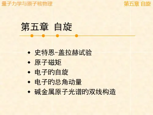自旋专业知识讲座