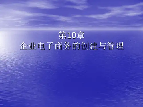 第10章,企业电子商务的创建与管理