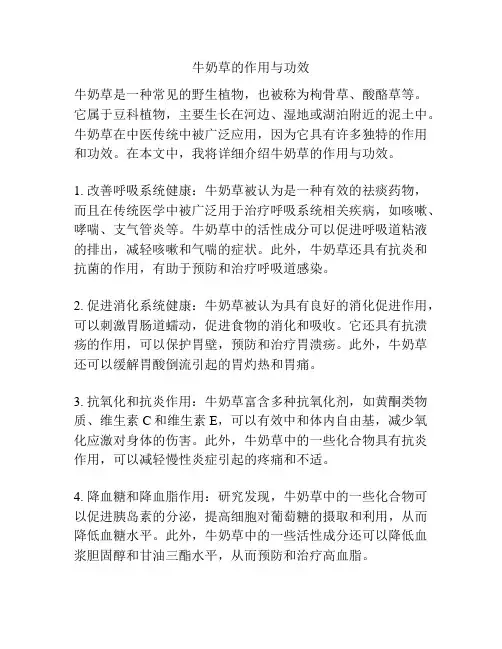 牛奶草的作用与功效