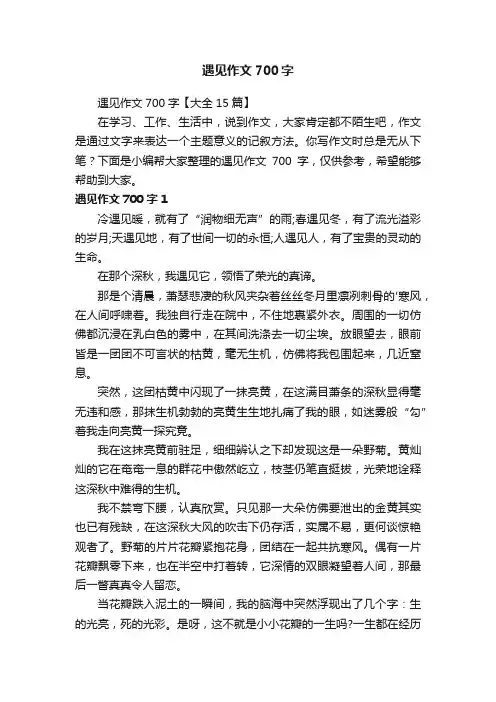 遇见作文700字【大全15篇】