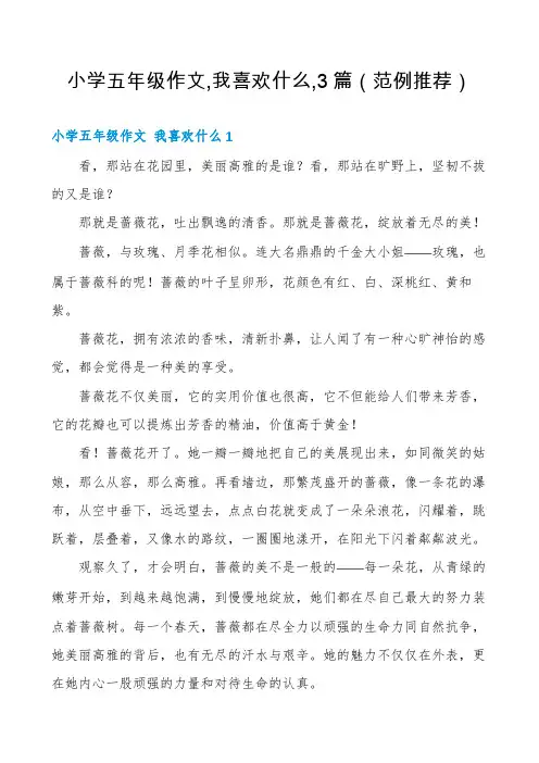 小学五年级作文,我喜欢什么,3篇