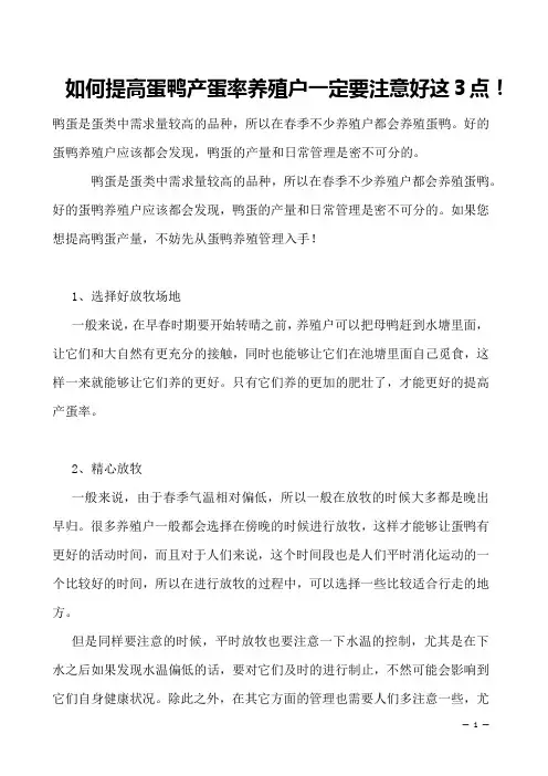 如何提高蛋鸭产蛋率养殖户一定要注意好这3点!