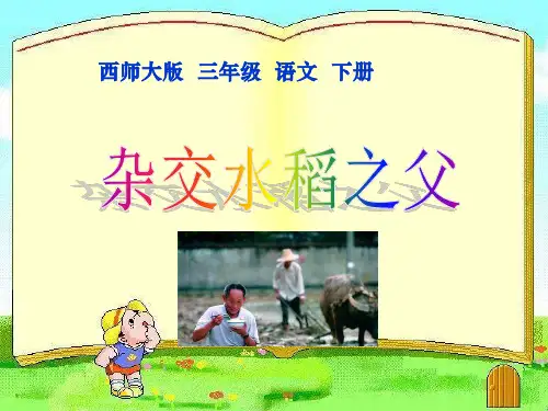 《杂交水稻之父》PPT课件