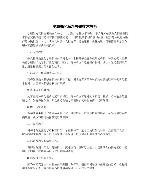 水稻强化栽培关键技术解析