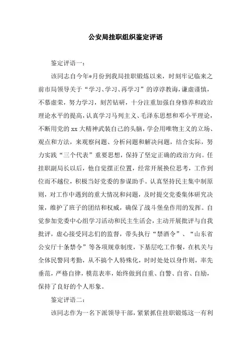 公安局挂职组织鉴定评语