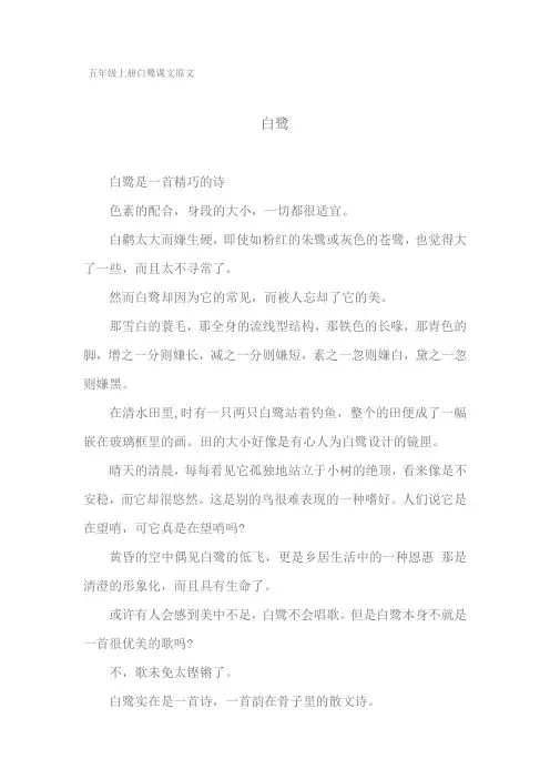 五年级上册白鹭课文原文