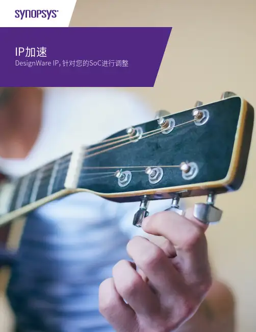 Synopsys SoC 架构设计指南说明书