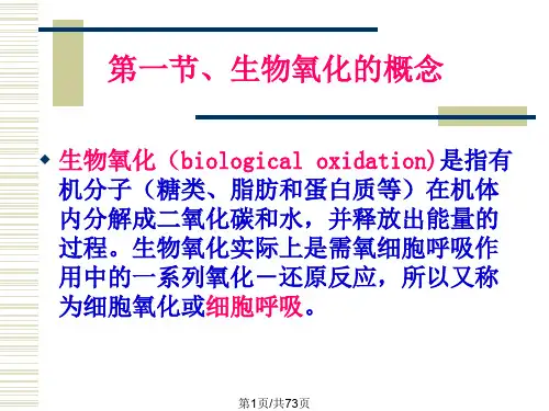 生物氧化与电子传递与氧化磷酸化
