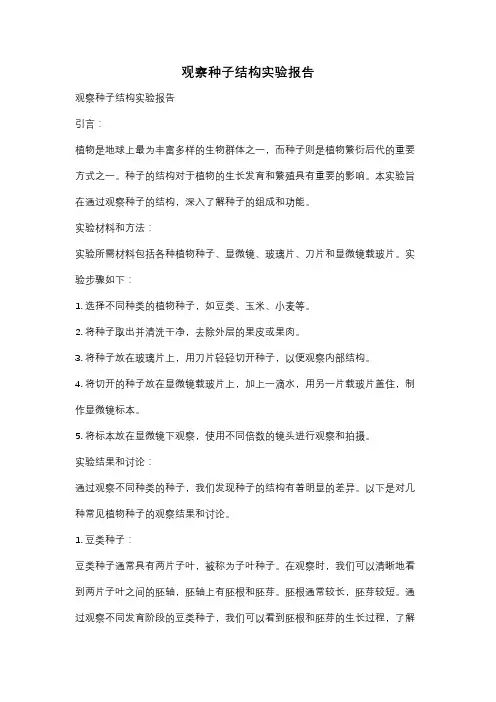 观察种子结构实验报告