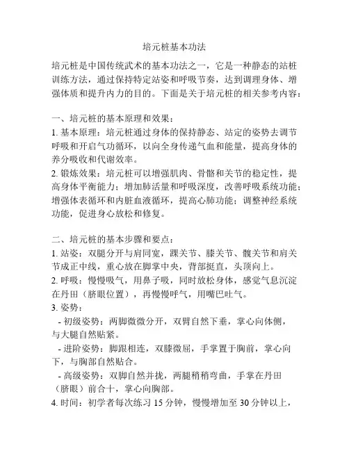 培元桩基本功法