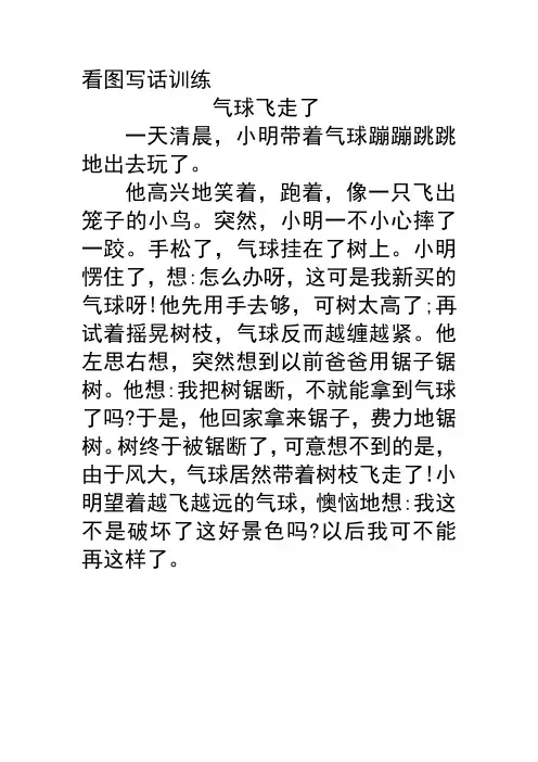 看图写话训练  气球飞走了