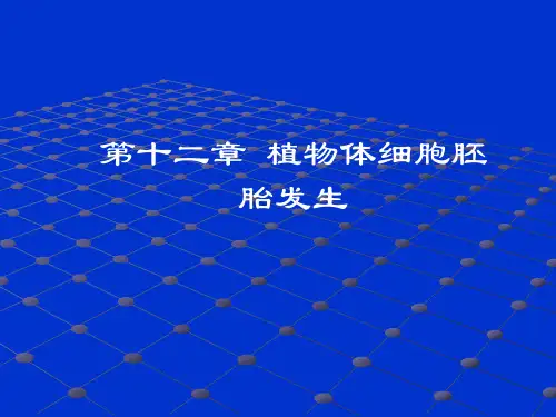 第十二章植物体细胞胚胎发生