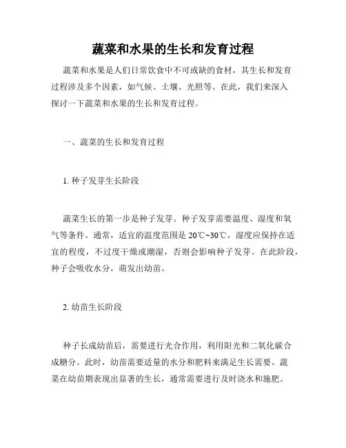蔬菜和水果的生长和发育过程