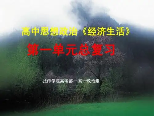 经济生活第一单元复习课