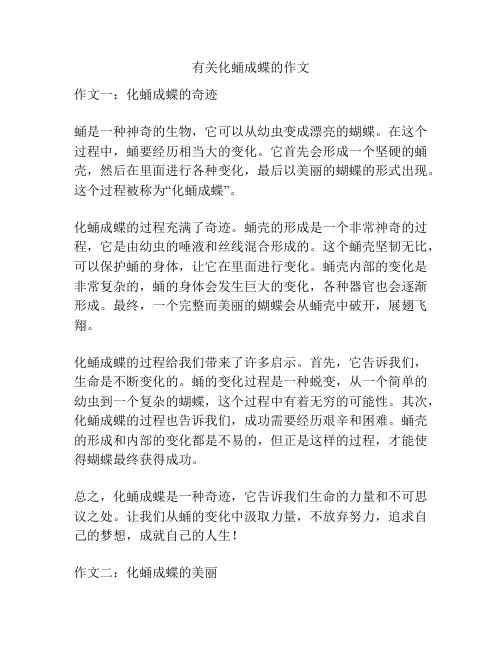 有关化蛹成蝶的作文