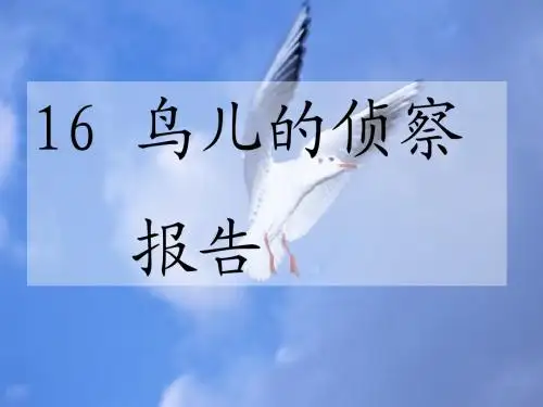 语文S版小学三年级语文下册《鸟儿的侦察报告》优秀教学课件