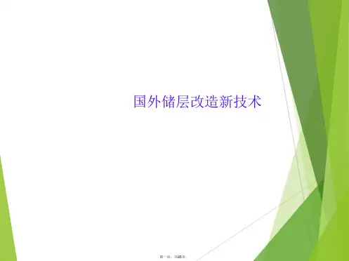 国外储层改造新技术