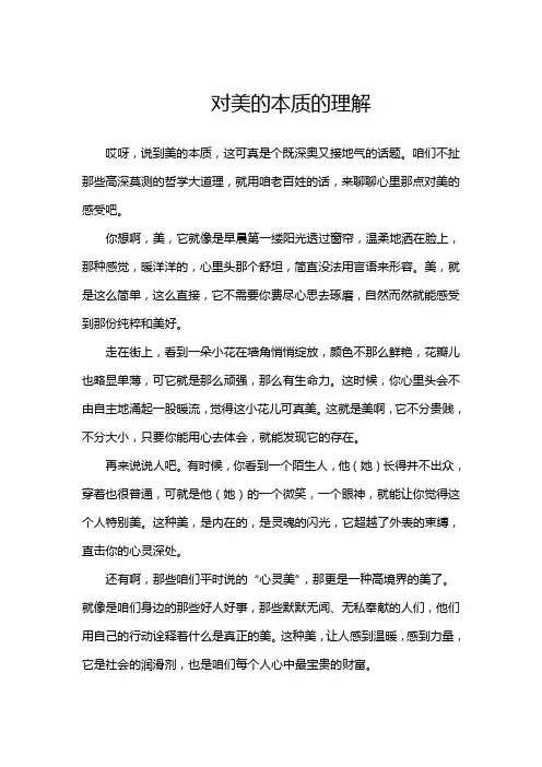 对美的本质的理解