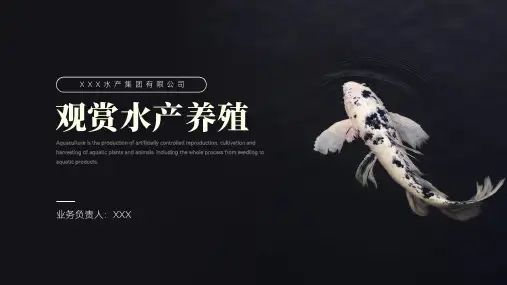 创意观赏水产养殖知识讲解PPT