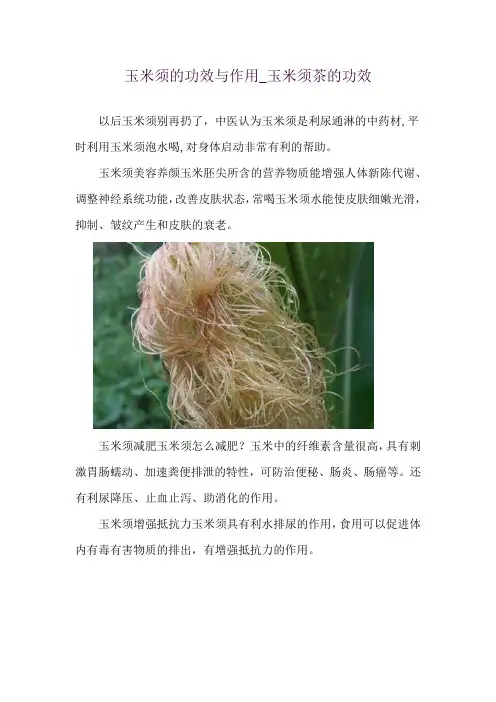 玉米须的功效与作用_玉米须茶的功效