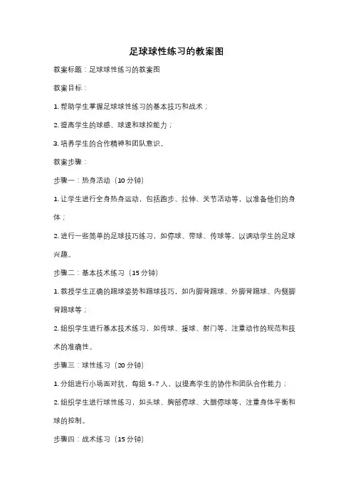 足球球性练习的教案图