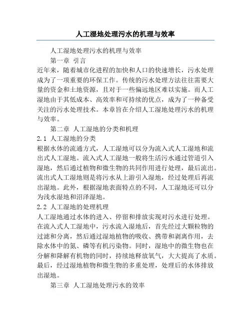 人工湿地处理污水的机理与效率