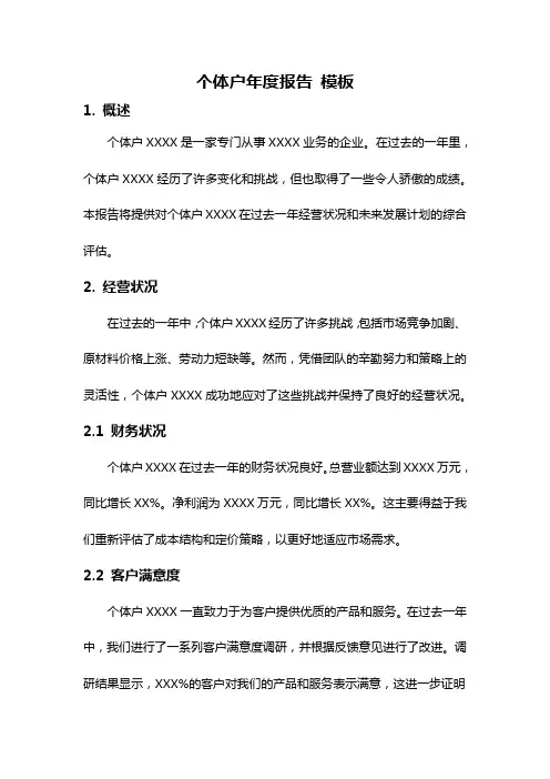 个体户年度报告 模板