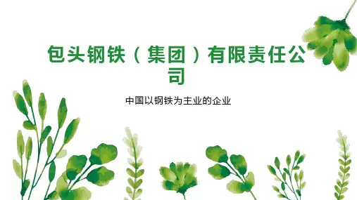 包头钢铁(集团)有限责任公司