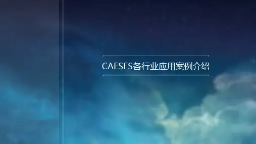 CAESES各行业应用案例介绍