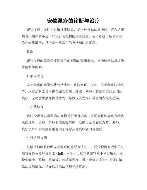 宠物湿疹的诊断与治疗