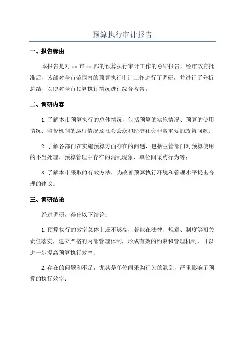 预算执行审计报告