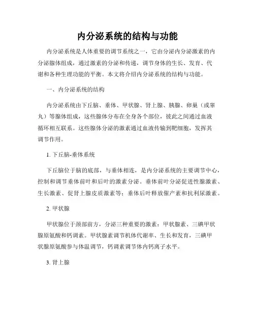 内分泌系统的结构与功能