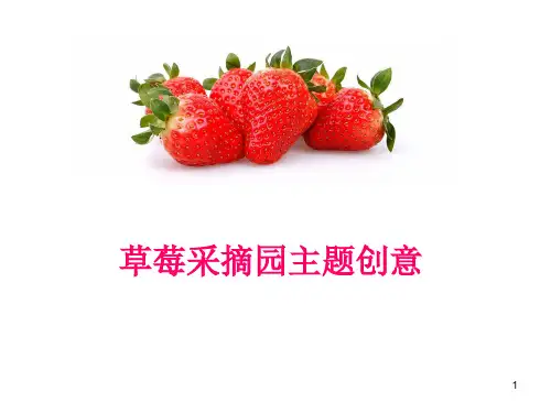 草莓采摘园项目规划PPT精选文档
