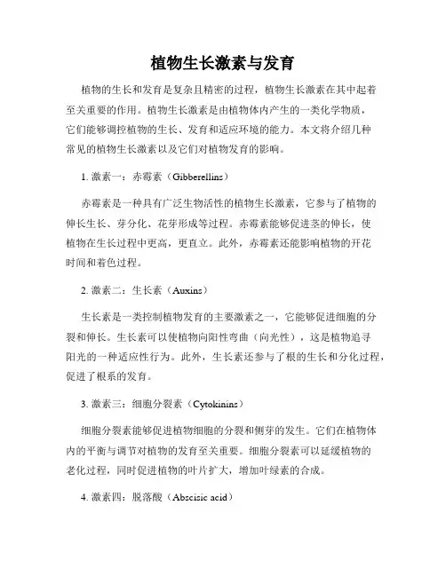 植物生长激素与发育
