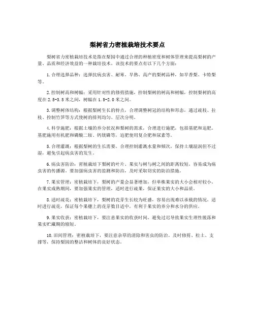 梨树省力密植栽培技术要点