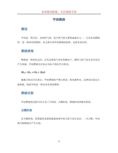 甲烷燃烧文档