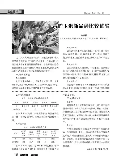 青贮玉米新品种比较试验