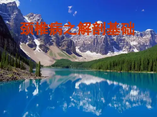 1.颈椎病之解剖基础