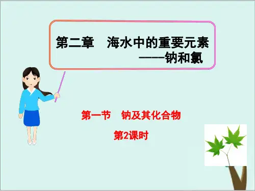 《钠及其化合物》PPT课件人教版2