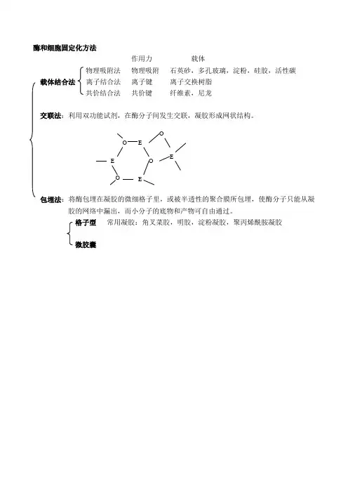 酶和细胞固定化方法