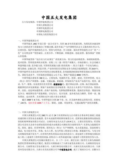 5大发电集团