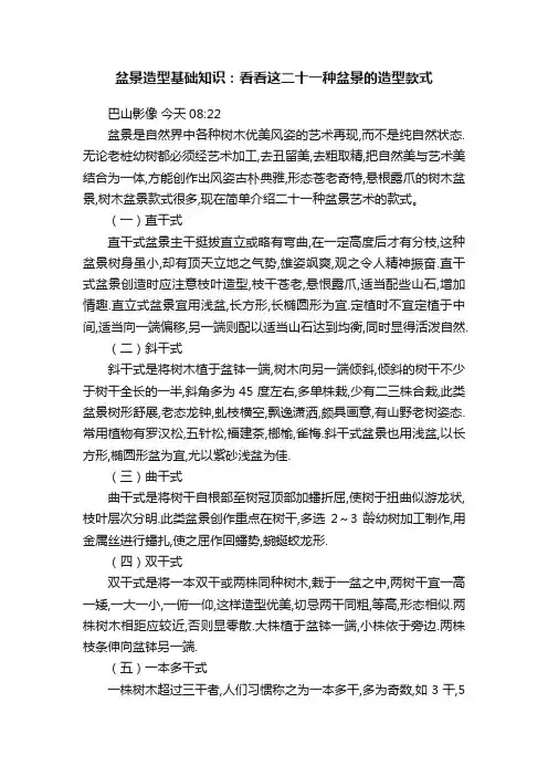 盆景造型基础知识：看看这二十一种盆景的造型款式