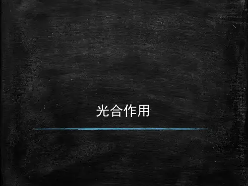 高中新教材北师大版生物必修一教学课件光合作用