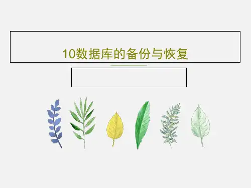10数据库的备份与恢复32页PPT